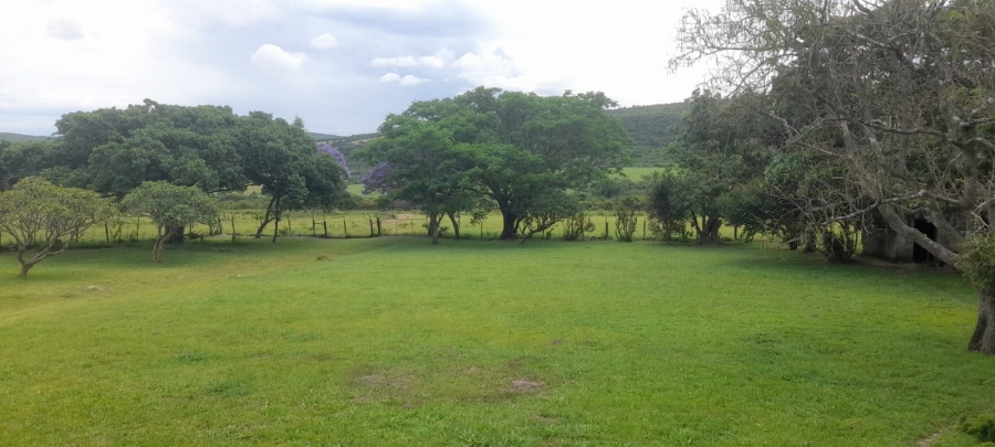 Commercial Property for Sale in Komga Rural Eastern Cape